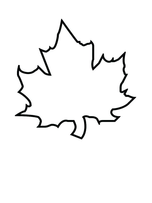 600x800 Coloring Pagesof A Leaf Dogwoods Tree Fall Leaf Coloring Page