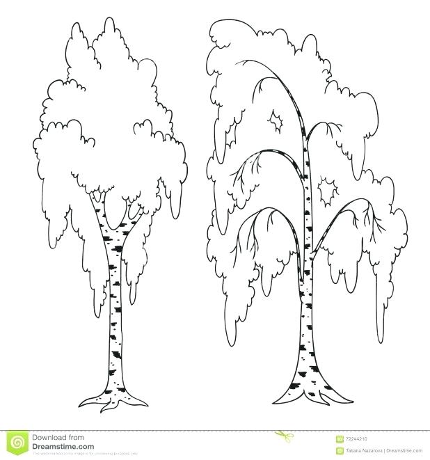618x661 Tree Coloring Pages Book Outstanding Dollar Bible Books Magic