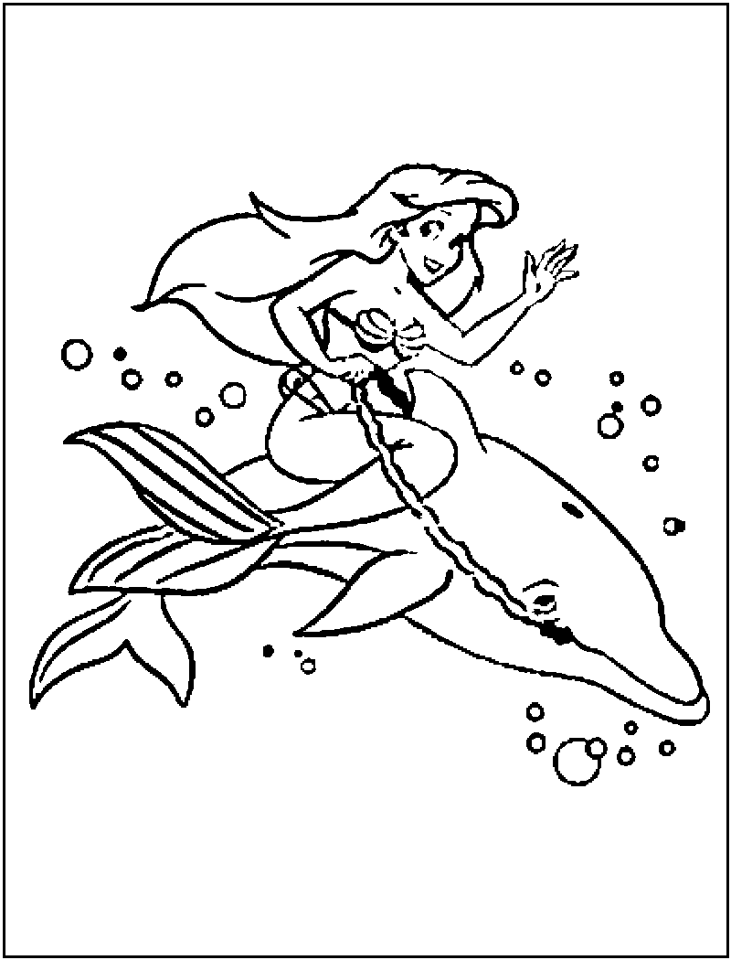 800x1050 Dolphin Picture To Color For Kids My Son Loves Dolphins Printable
