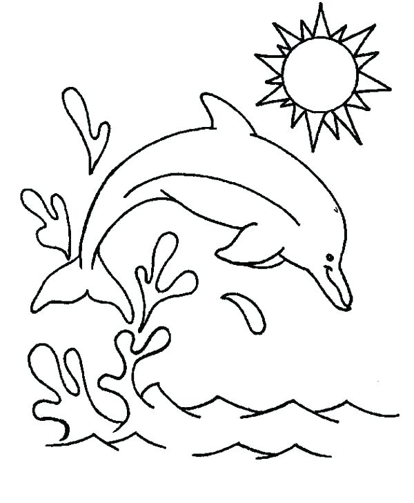 600x729 Printable Dolphin Coloring Pages Dolphin Color Page Dolphin
