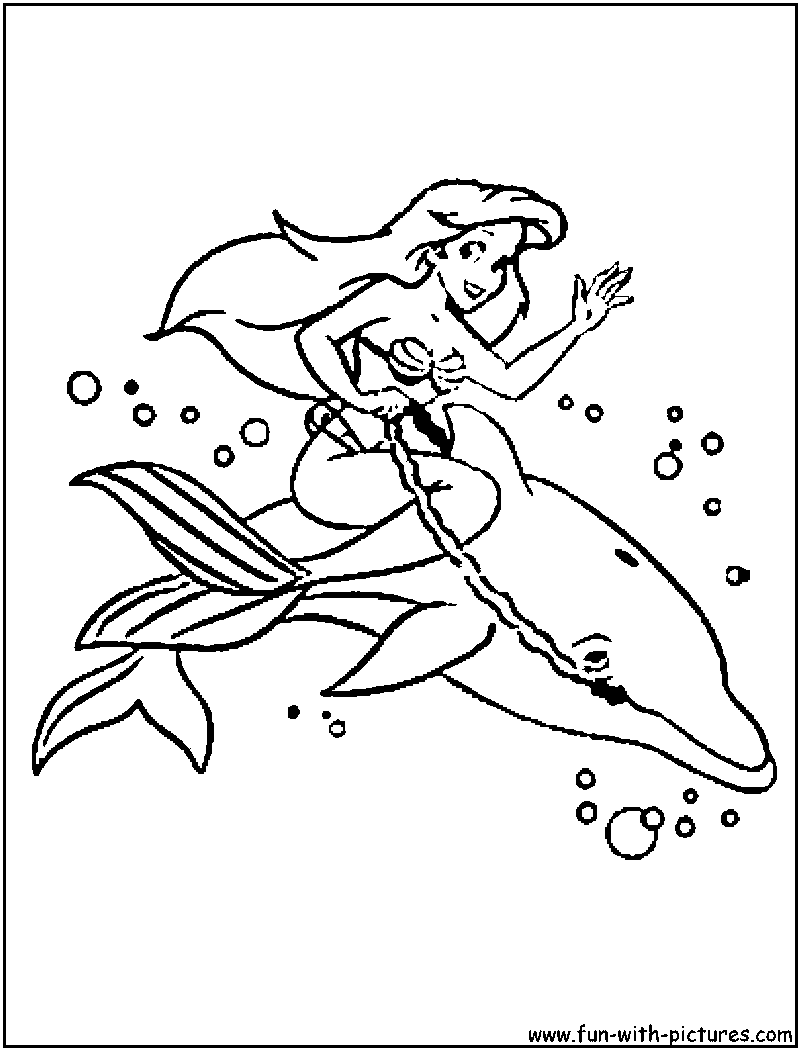 800x1050 Dolphin Coloring Pages Printable