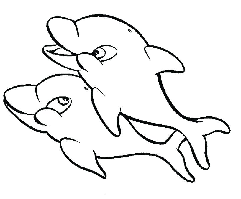 817x675 Dolphin Printable Coloring Pages Free Printable Dolphin Pictures