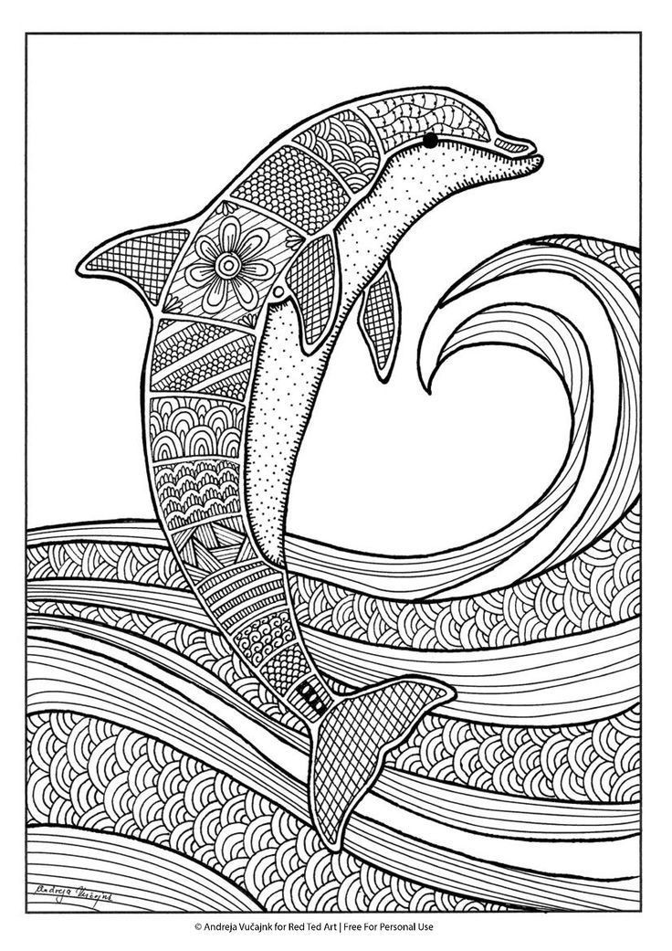736x1041 Dolphin Print Out Coloring Pages Unique Dolphins Coloring Pages