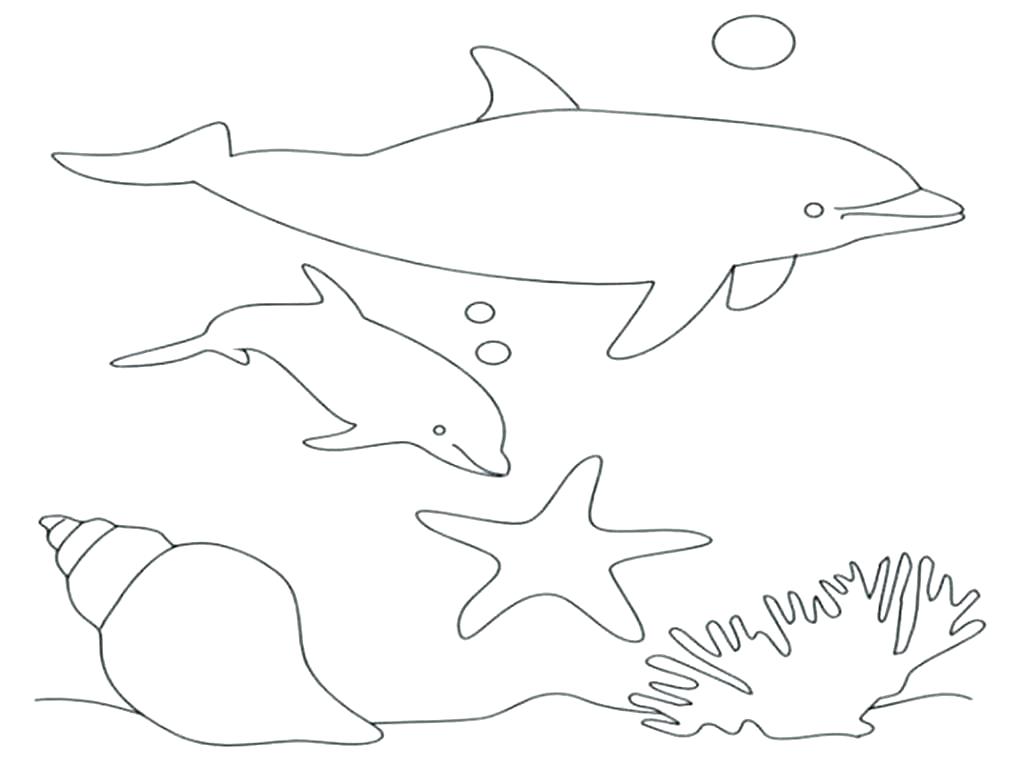 1024x767 Dolphin Coloring Pages Printable