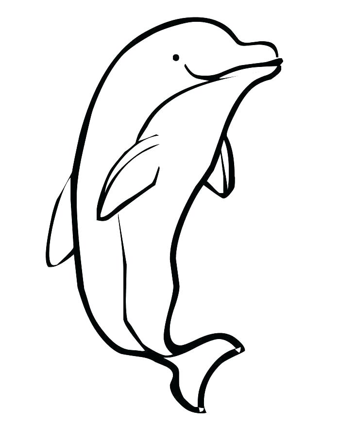 700x905 Printable Dolphin Coloring Pages