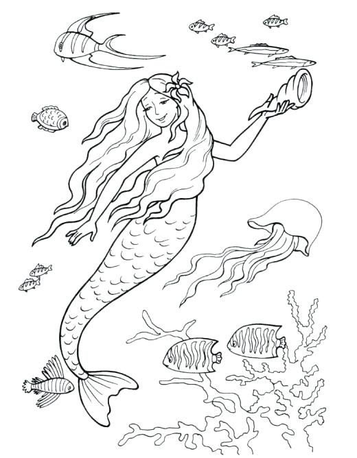 520x668 Dolphin Tale Coloring Pages Detailed Coloring Pages For Adults