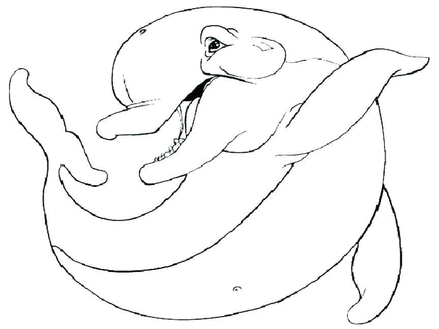 863x647 Dolphin To Color Printable Dolphin Coloring Pages This Is Dolphin