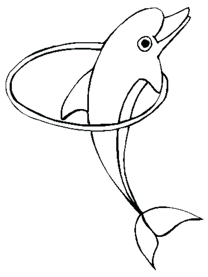 711x948 Winter Dolphin Tale Coloring Pages Winter The Dolphin Coloring
