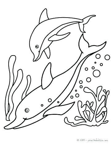 364x470 Dolphin Coloring Pages Printable Vanda