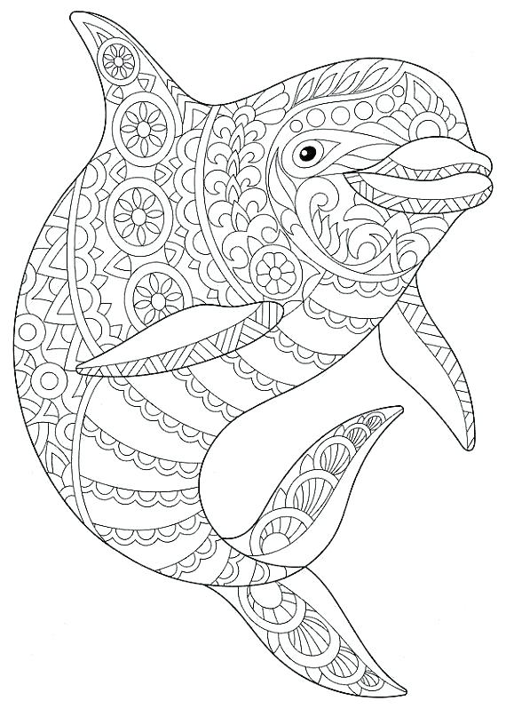 570x798 Dolphins Logo Coloring Pages Football Page Kids Miami Dolphin Logo