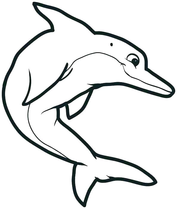 594x700 Dolphins Coloring