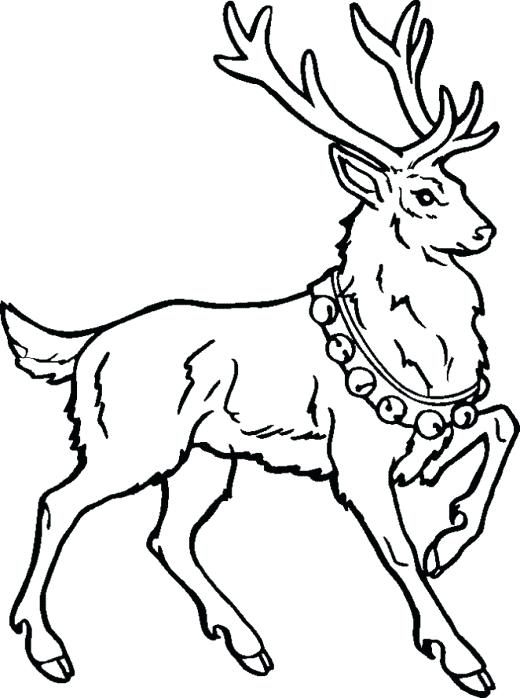 520x698 Reindeer Head Coloring Pages Printable Domo Coloring Pages Free