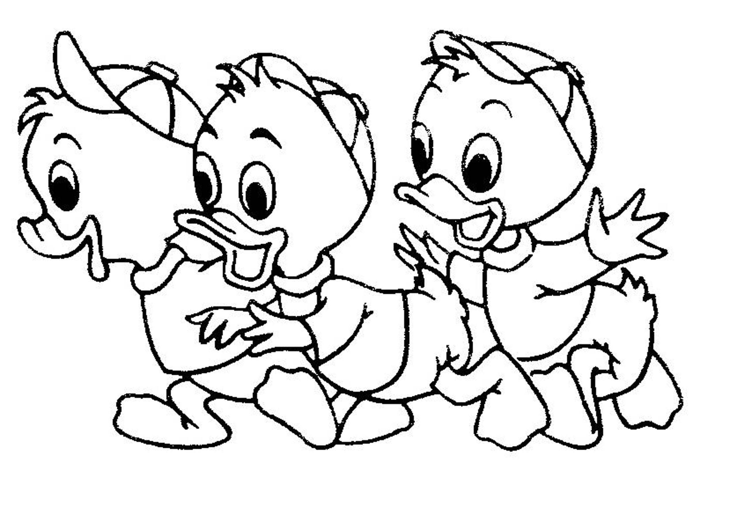 2550x1807 Fresh Baby Daisy Duck Coloring Page Ms Pin Drawn Duckling Donald