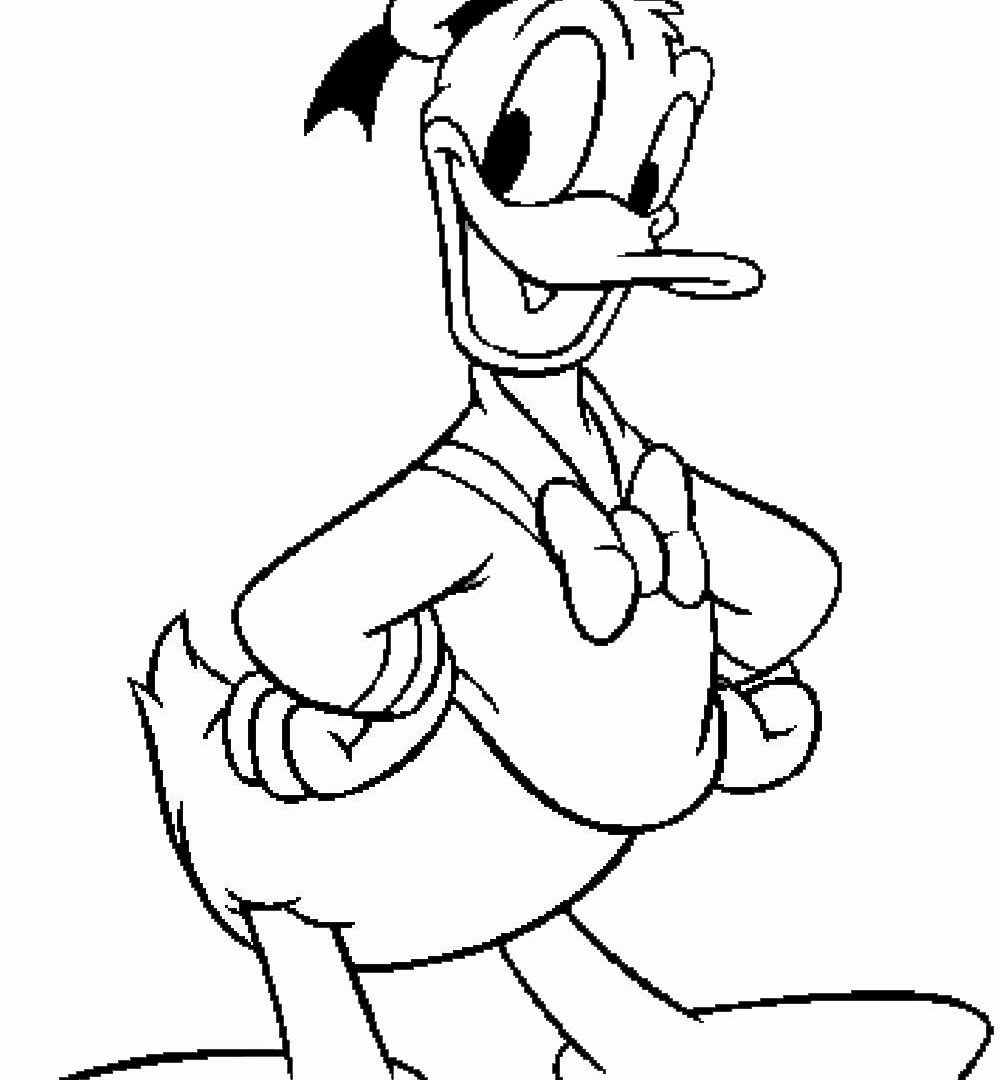 1000x1080 Free Printable Daisy Duck Coloring Pages Dynasty Donald