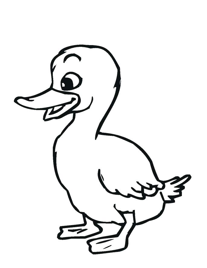 685x886 Coloring Pages Ducks Duck Coloring Pages Photos Free Printable