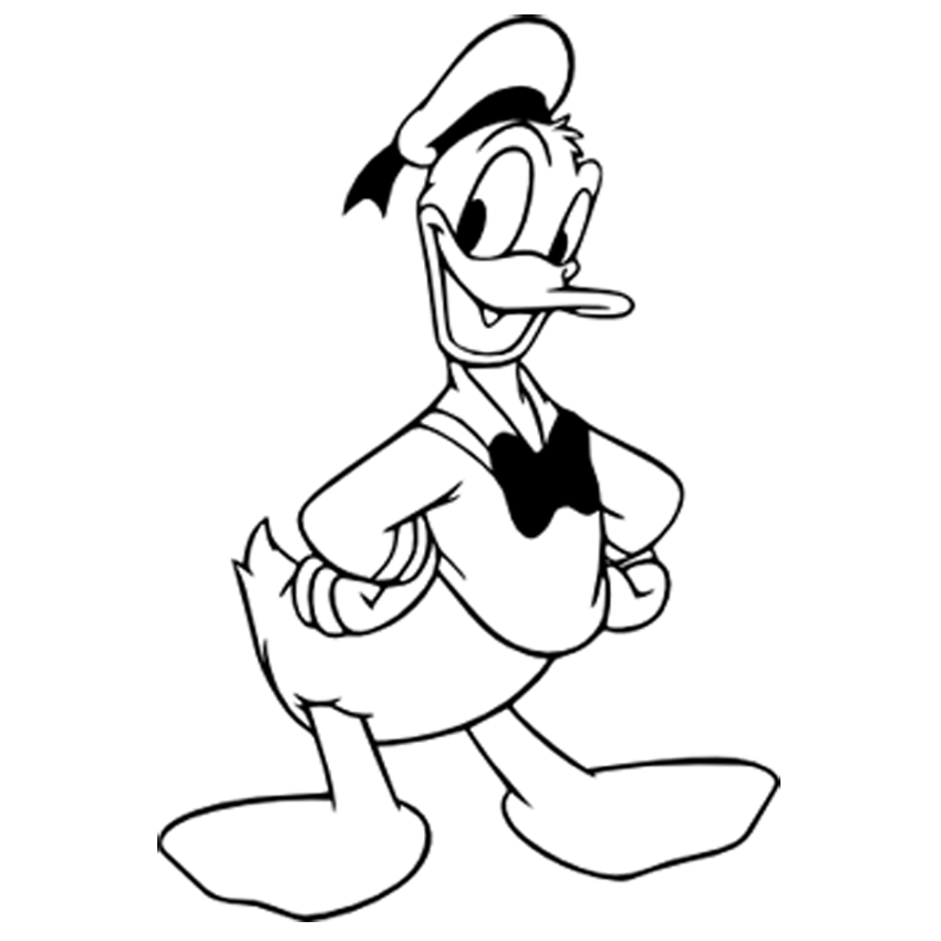 850x850 Donald Duck