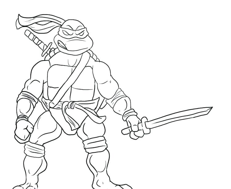 750x612 Teenage Mutant Ninja Turtles Donatello Coloring Pages Printable