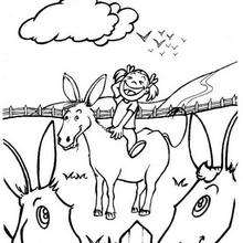 220x220 Donkey Coloring Pages, Drawing For Kids, Videos For Kids
