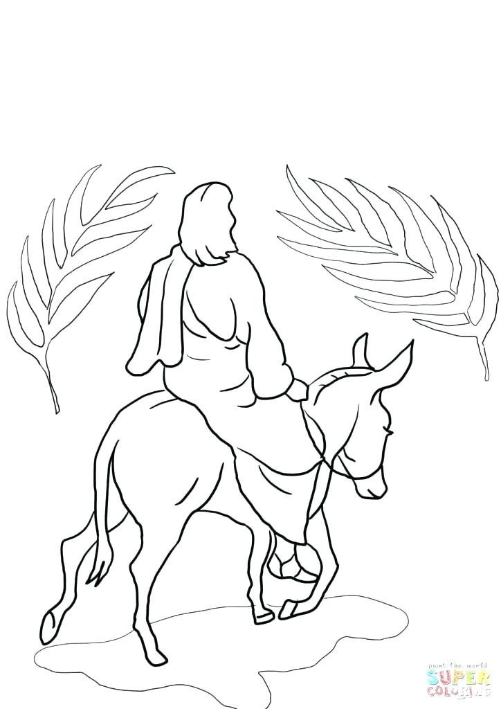 724x1024 Donkey Coloring Page Also Donkey Coloring Page Donkey Coloring