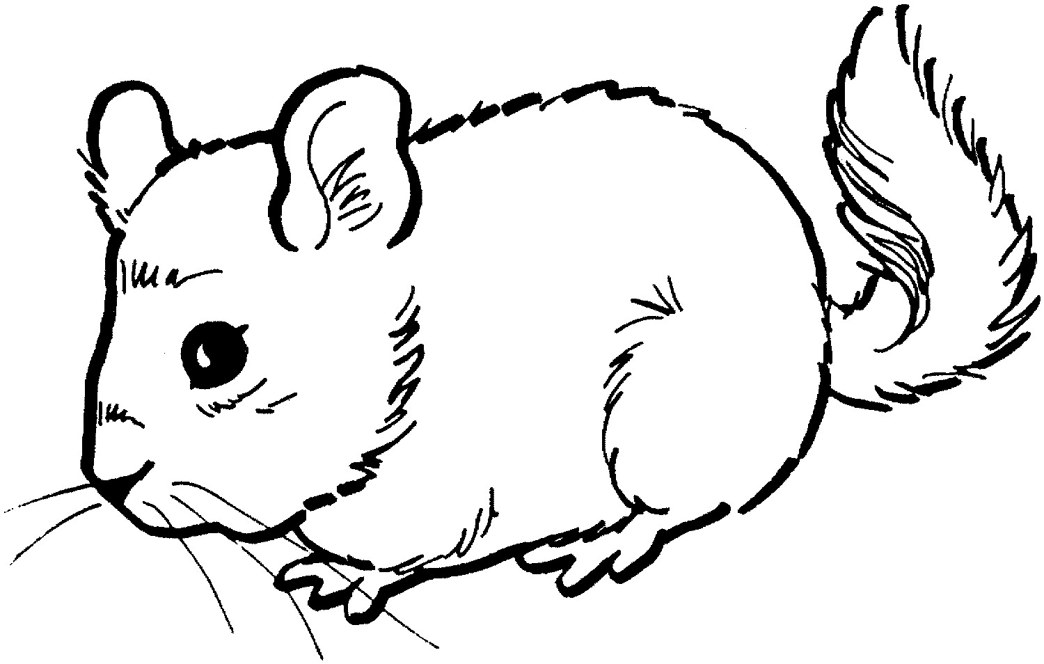 1500x954 Dormouse Animal Coloring Pages