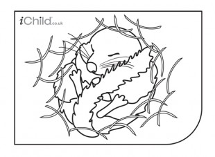 310x227 Great Site For Printable Coloring Pages! Homeschool