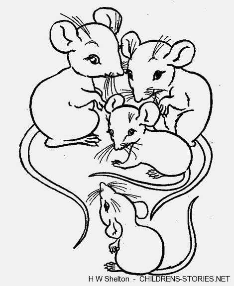 470x575 Sketches Of Dormice