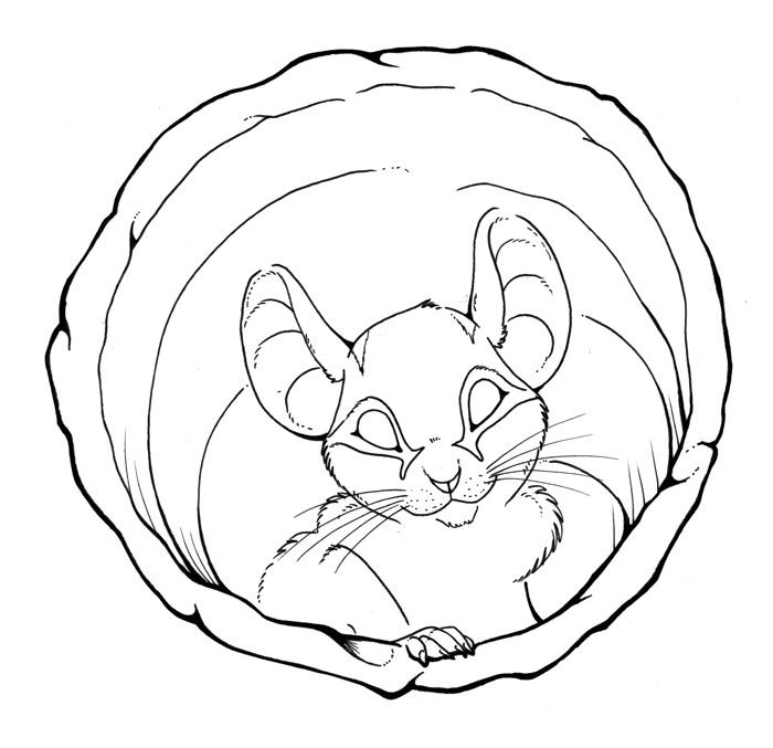 700x677 Lineart Edible Dormouse