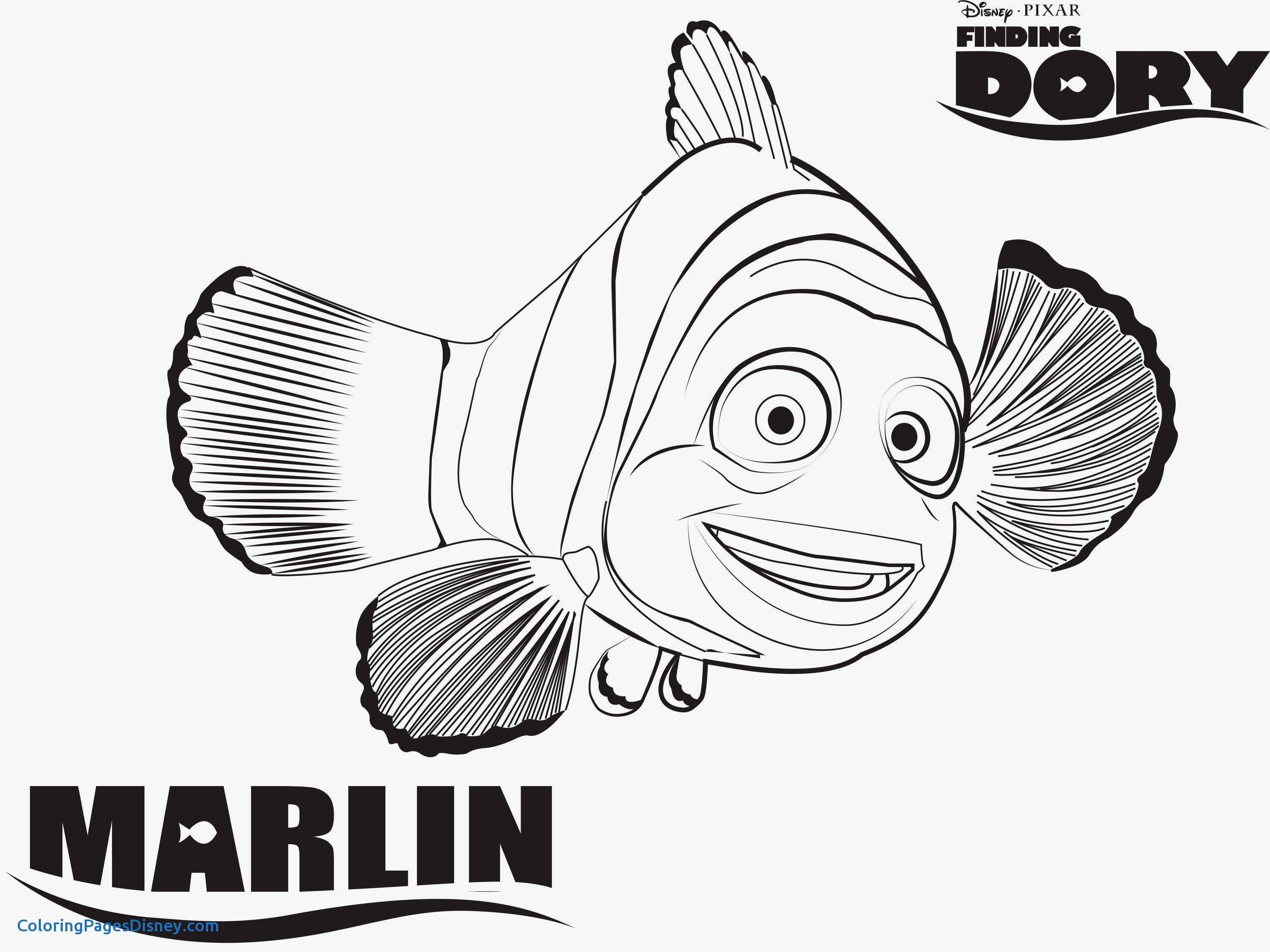 3015x2260 Genie Coloring Pages Lovely Disney S Finding Dory Coloring Pages