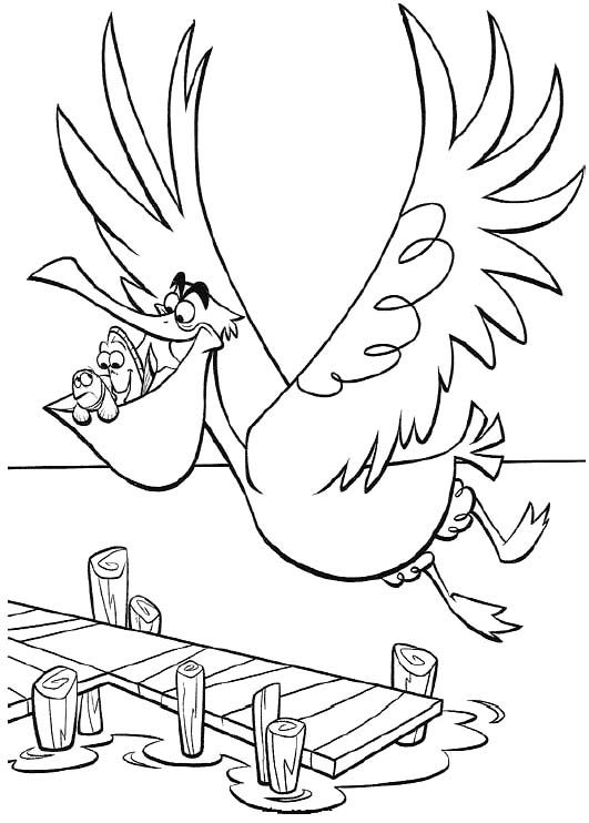 531x742 Disney Dory And Marlin With Bird Coloring Pages
