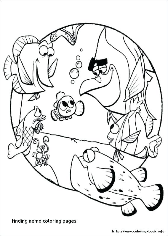 567x794 Dory Finding Nemo Coloring Pages Professional