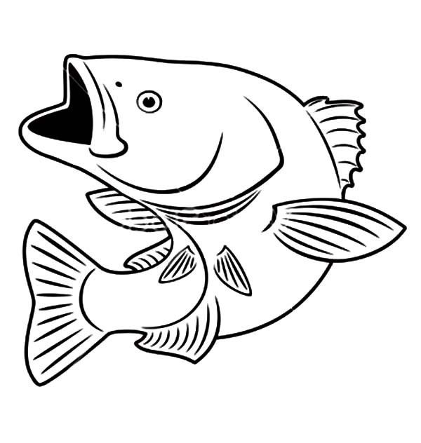 600x632 Fish Coloring Pages Free Download