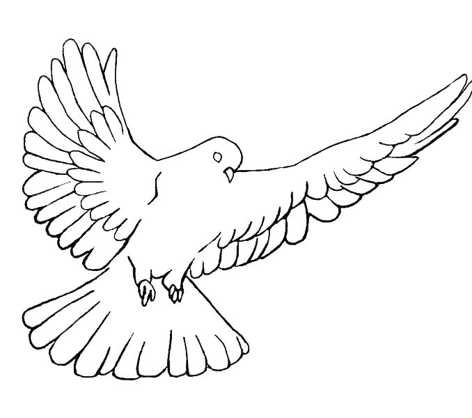 678x600 Peace Coloring Pages Peace Coloring Page More Pages For Dove