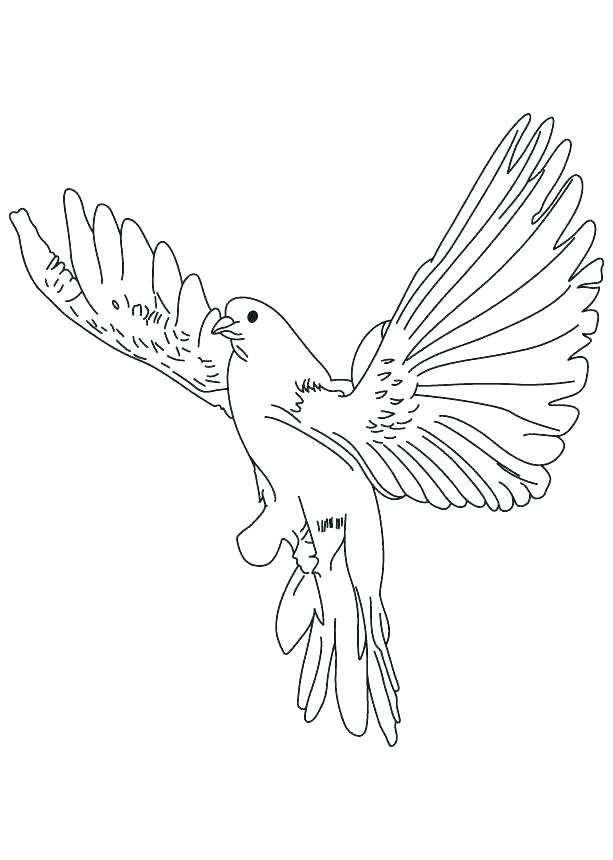 613x860 Dove Coloring Page