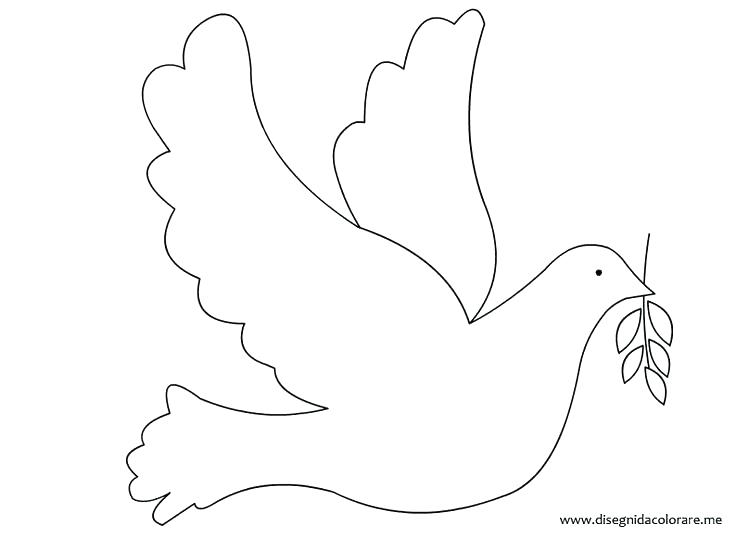736x538 Dove Coloring Pages
