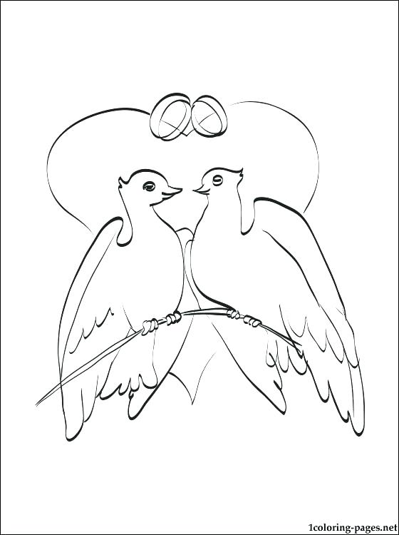 560x750 Dove Coloring Pages Doves Coloring Pages Wedding Doves Coloring