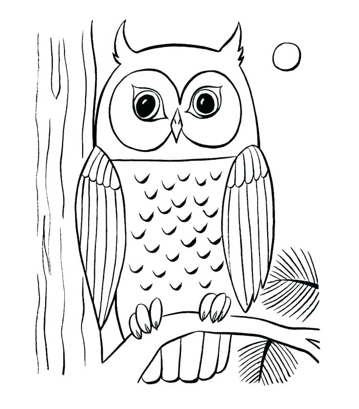 700x796 Coloring Book Owl Download Coloring Pages Coloring Pages Free