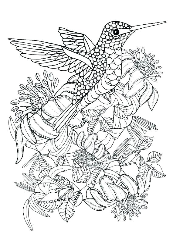 570x807 Downloadable Coloring Pages Downloadable Coloring Pages Fresh