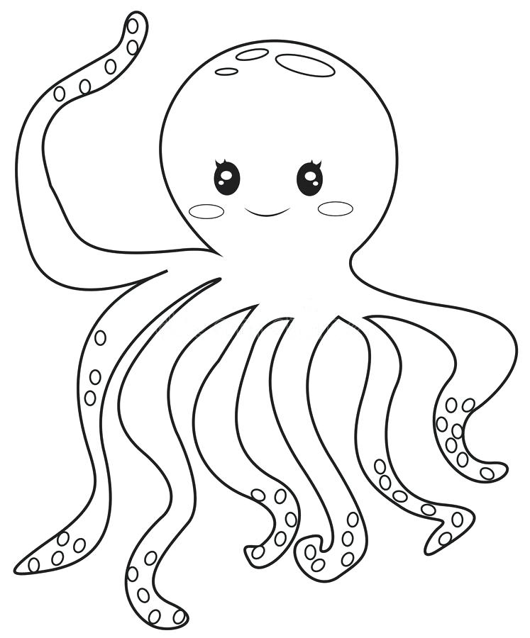 747x900 Octopus Coloring Page Download Octopus Coloring Page Stock
