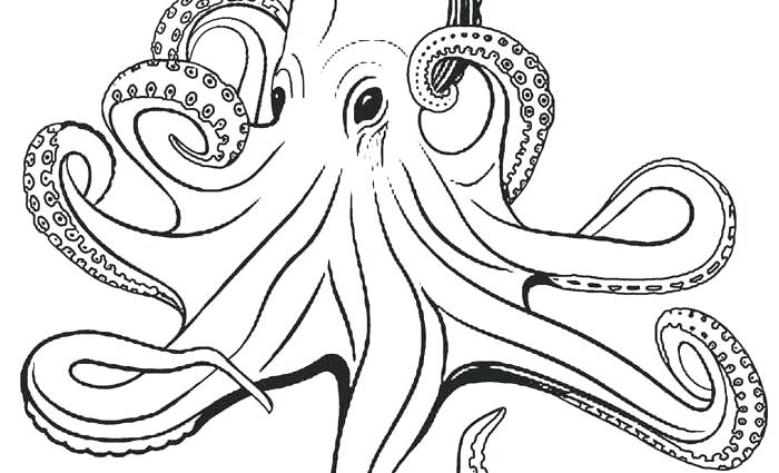 700x425 Octopus Coloring Page Free For O Musky Pages