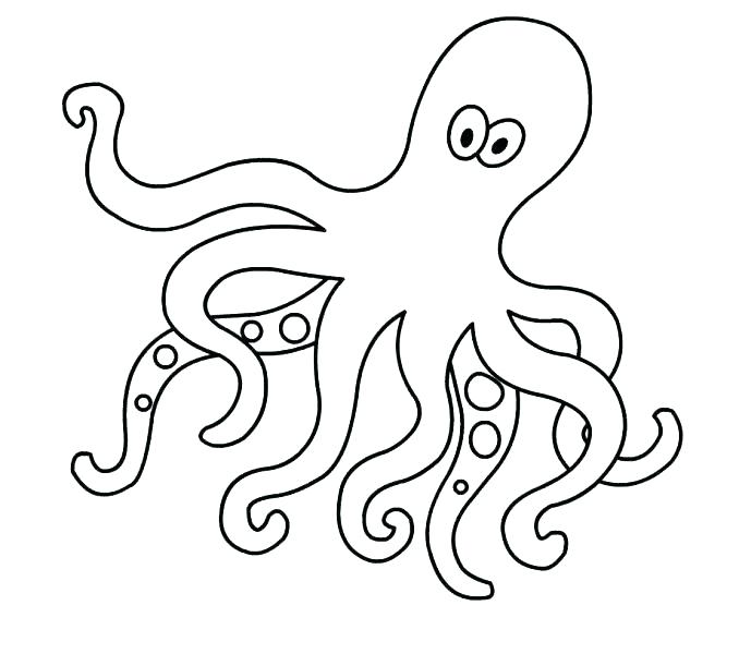 678x600 Octopus Coloring Pages Inspirational Octopus Coloring Page Free
