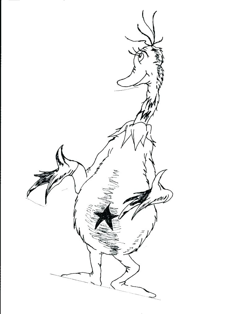 736x1012 Fish Coloring Pages Coloring Pages For Coloring Pages Coloring