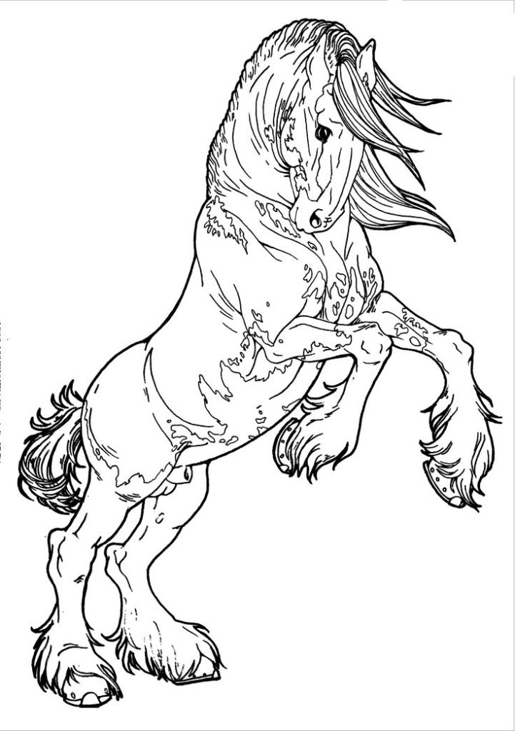 Draft Horse Coloring Pages
