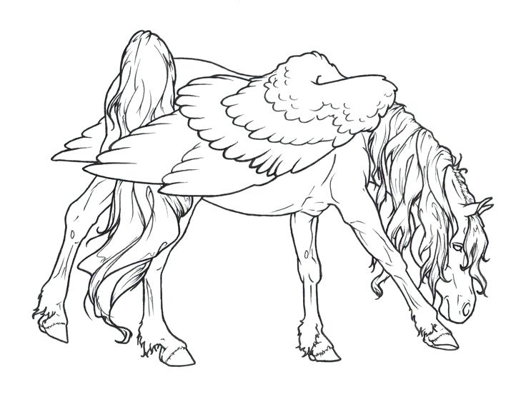 736x556 Draft Horse Coloring Pages Coloring Page Free Draft Horse Coloring