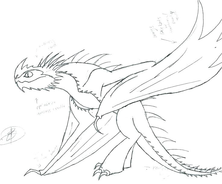 736x610 How To Train Your Dragon Coloring Pages Online How To Train Your