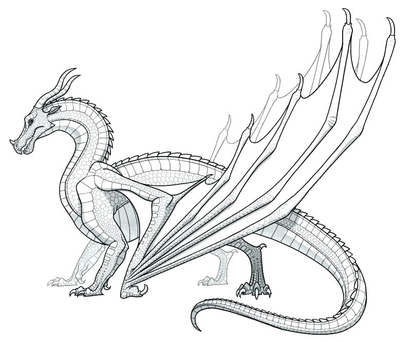 800x668 Coloring Pages Dragons