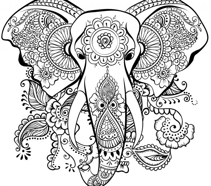 678x600 Dragon Coloring Pages Coloring Print Colouring In Beatiful Dragon