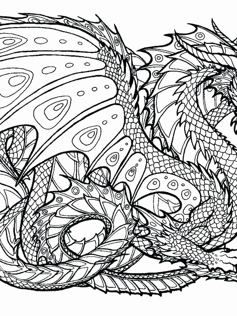 480x640 Dragon Coloring Pages For Adults Pictures New Free Dragon Coloring