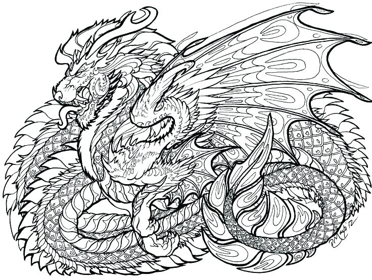 736x555 Dragon Coloring Pages For Adults Plus Elegant Dragon Coloring