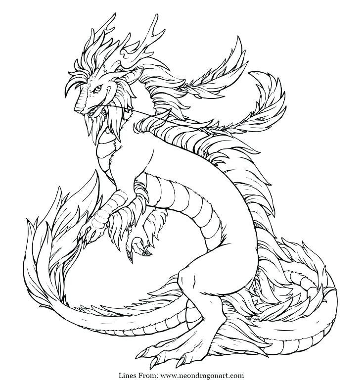 736x780 Dragon Coloring Pages For Adults