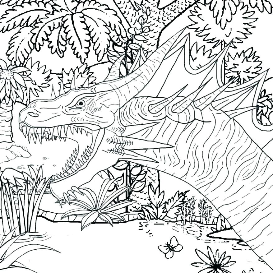878x878 Fire Breathing Dragon Coloring Pages